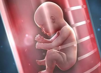 子宫纵隔生育困难可以在东台市做三代试管吗？子宫有问题做试管的成功率高吗？