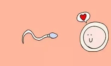 国内比较好三代试管婴儿医院哪里有？集中在北上广三地