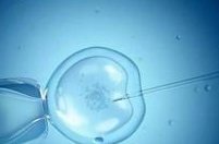 平南看不育不孕老中医（平南看不育不孕老中医哪里好）