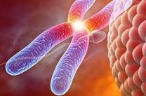 孕期不注意这个细节，竟影响宝宝的脑部健康!